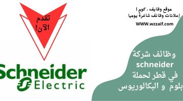 وظائف schneider