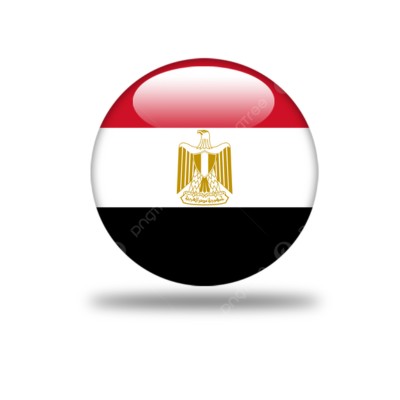 شركة رائدة في مصر